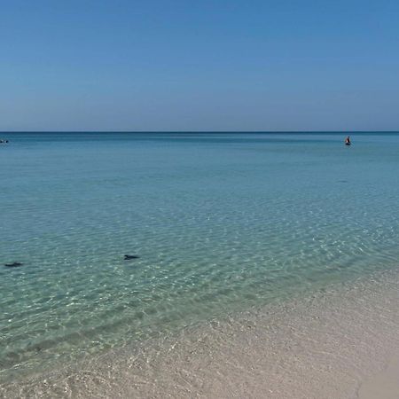 Majestic Sun 605B Apartment Destin Luaran gambar